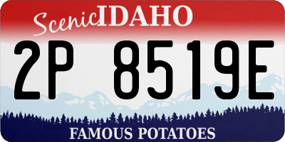 ID license plate 2P8519E