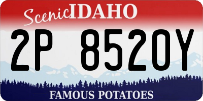 ID license plate 2P8520Y