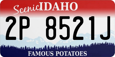 ID license plate 2P8521J