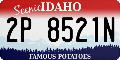 ID license plate 2P8521N