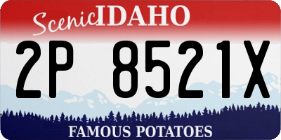 ID license plate 2P8521X
