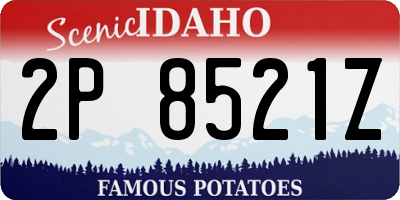 ID license plate 2P8521Z