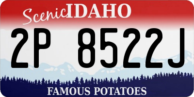 ID license plate 2P8522J