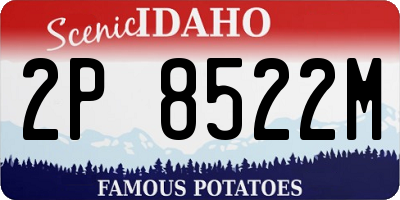 ID license plate 2P8522M