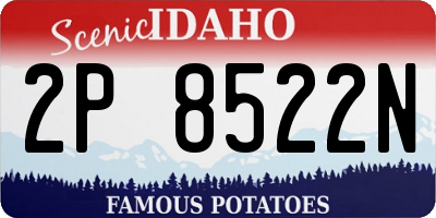 ID license plate 2P8522N