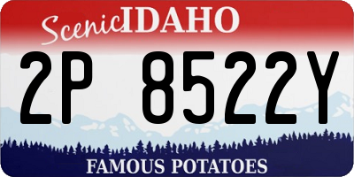 ID license plate 2P8522Y
