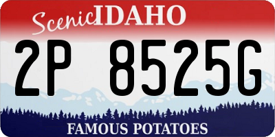 ID license plate 2P8525G