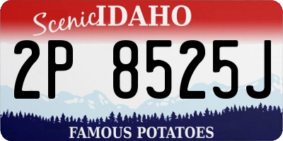 ID license plate 2P8525J