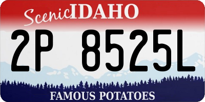 ID license plate 2P8525L