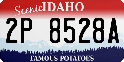 ID license plate 2P8528A
