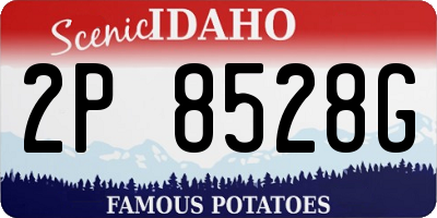 ID license plate 2P8528G
