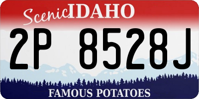 ID license plate 2P8528J