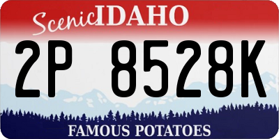ID license plate 2P8528K