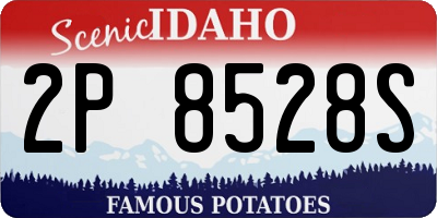 ID license plate 2P8528S
