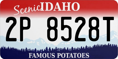ID license plate 2P8528T