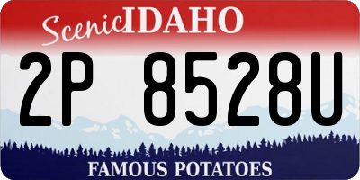 ID license plate 2P8528U
