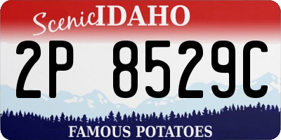 ID license plate 2P8529C