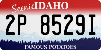 ID license plate 2P8529I
