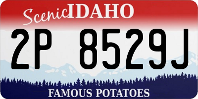 ID license plate 2P8529J