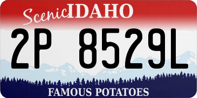 ID license plate 2P8529L