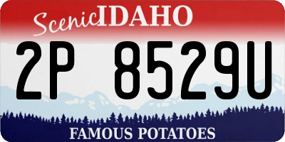 ID license plate 2P8529U