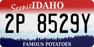ID license plate 2P8529Y