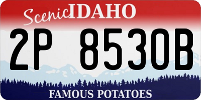 ID license plate 2P8530B