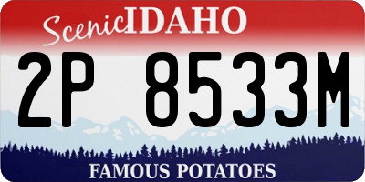 ID license plate 2P8533M