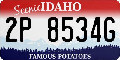 ID license plate 2P8534G