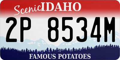 ID license plate 2P8534M