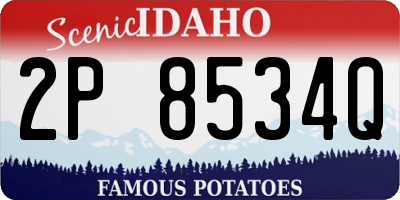 ID license plate 2P8534Q