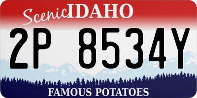 ID license plate 2P8534Y