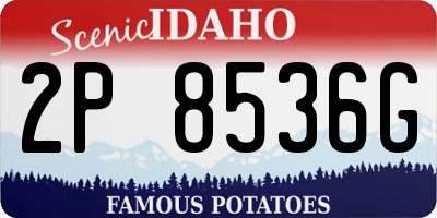 ID license plate 2P8536G
