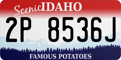 ID license plate 2P8536J