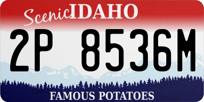 ID license plate 2P8536M