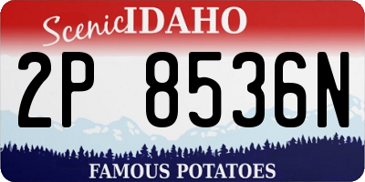 ID license plate 2P8536N