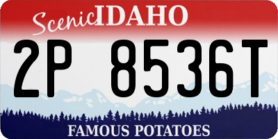 ID license plate 2P8536T