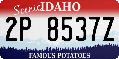 ID license plate 2P8537Z