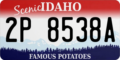 ID license plate 2P8538A