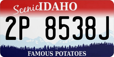 ID license plate 2P8538J