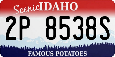 ID license plate 2P8538S