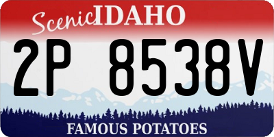 ID license plate 2P8538V