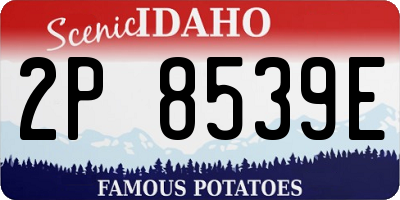 ID license plate 2P8539E