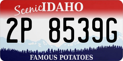 ID license plate 2P8539G