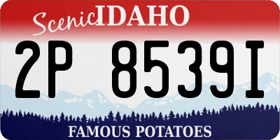 ID license plate 2P8539I