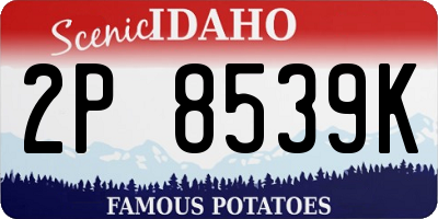 ID license plate 2P8539K