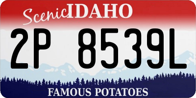 ID license plate 2P8539L