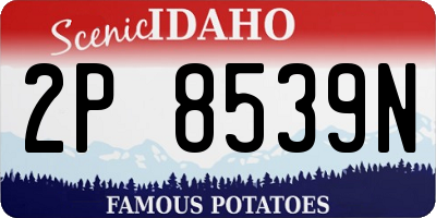 ID license plate 2P8539N