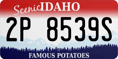 ID license plate 2P8539S