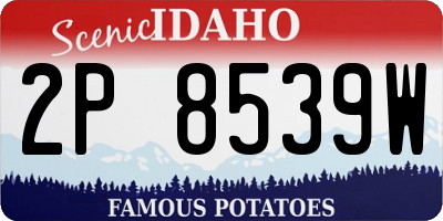 ID license plate 2P8539W